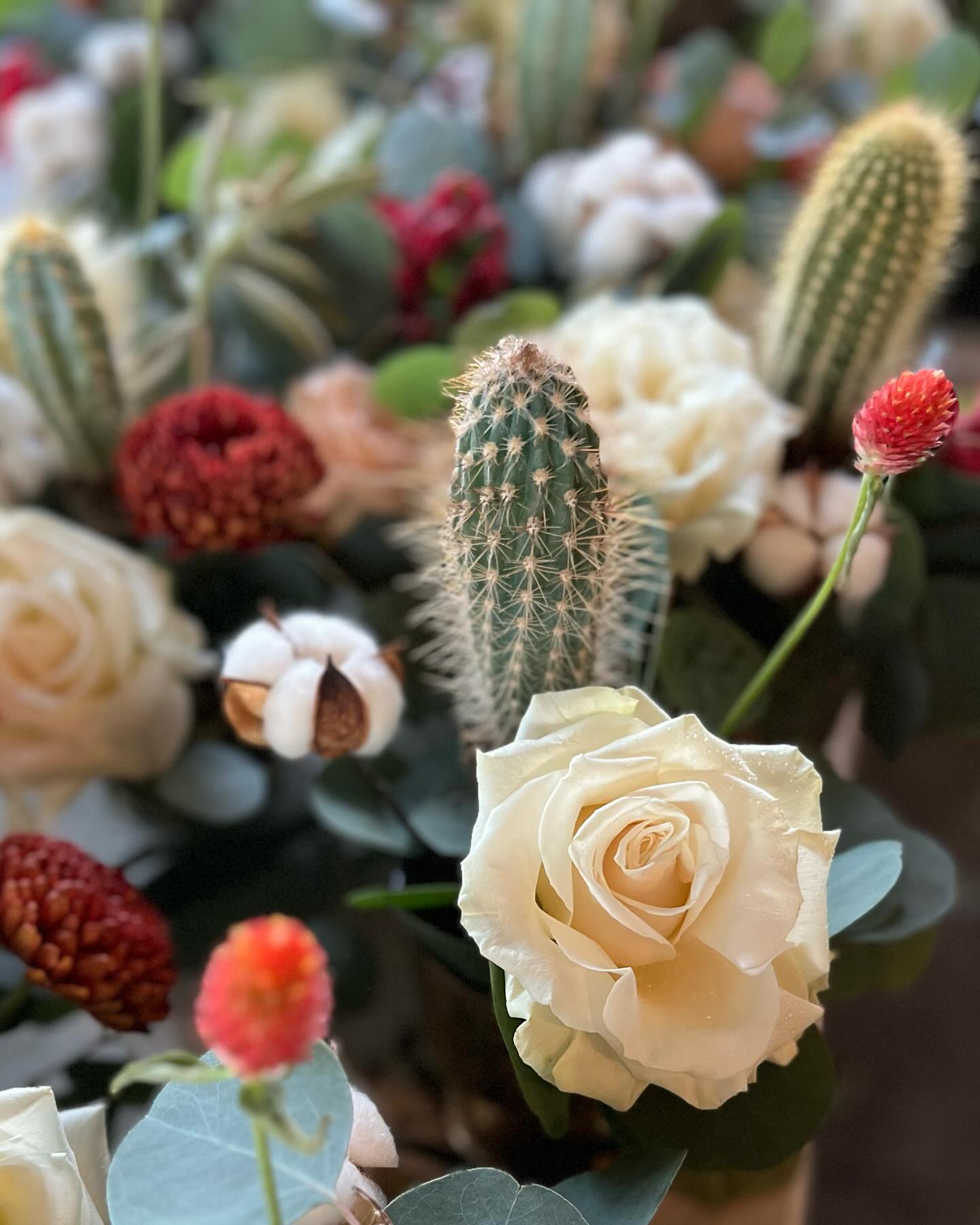 Desert Blooms Flowers LLC portfolio 3