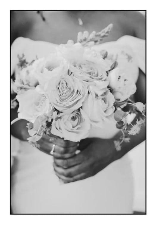 Annie Cimmino Photography