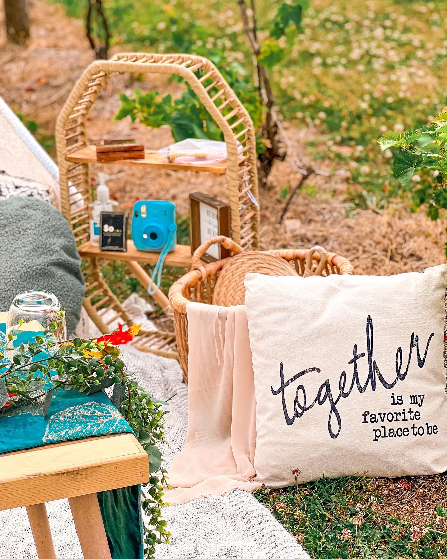 Picturesque Luxury Picnics, LLC portfolio 1