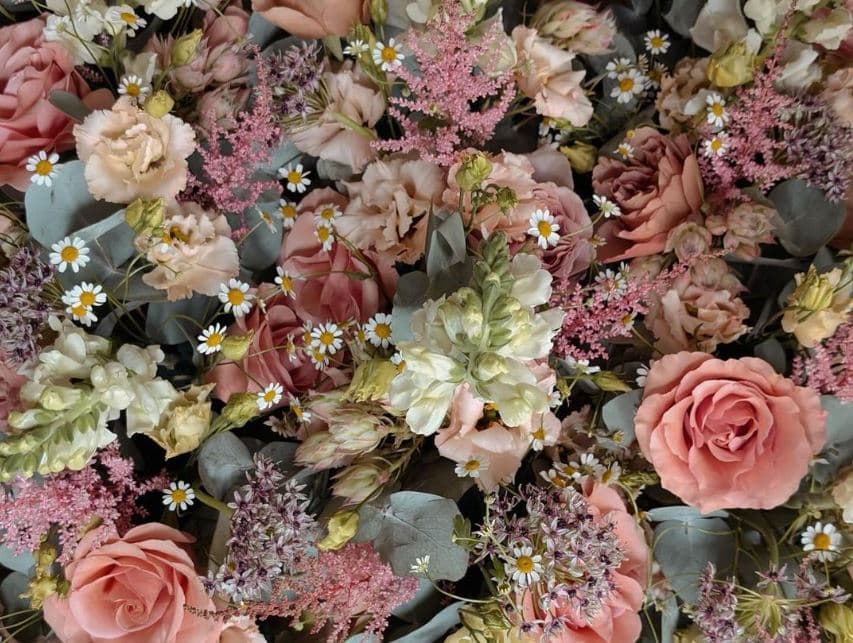 The Wild - Floral studio portfolio 5
