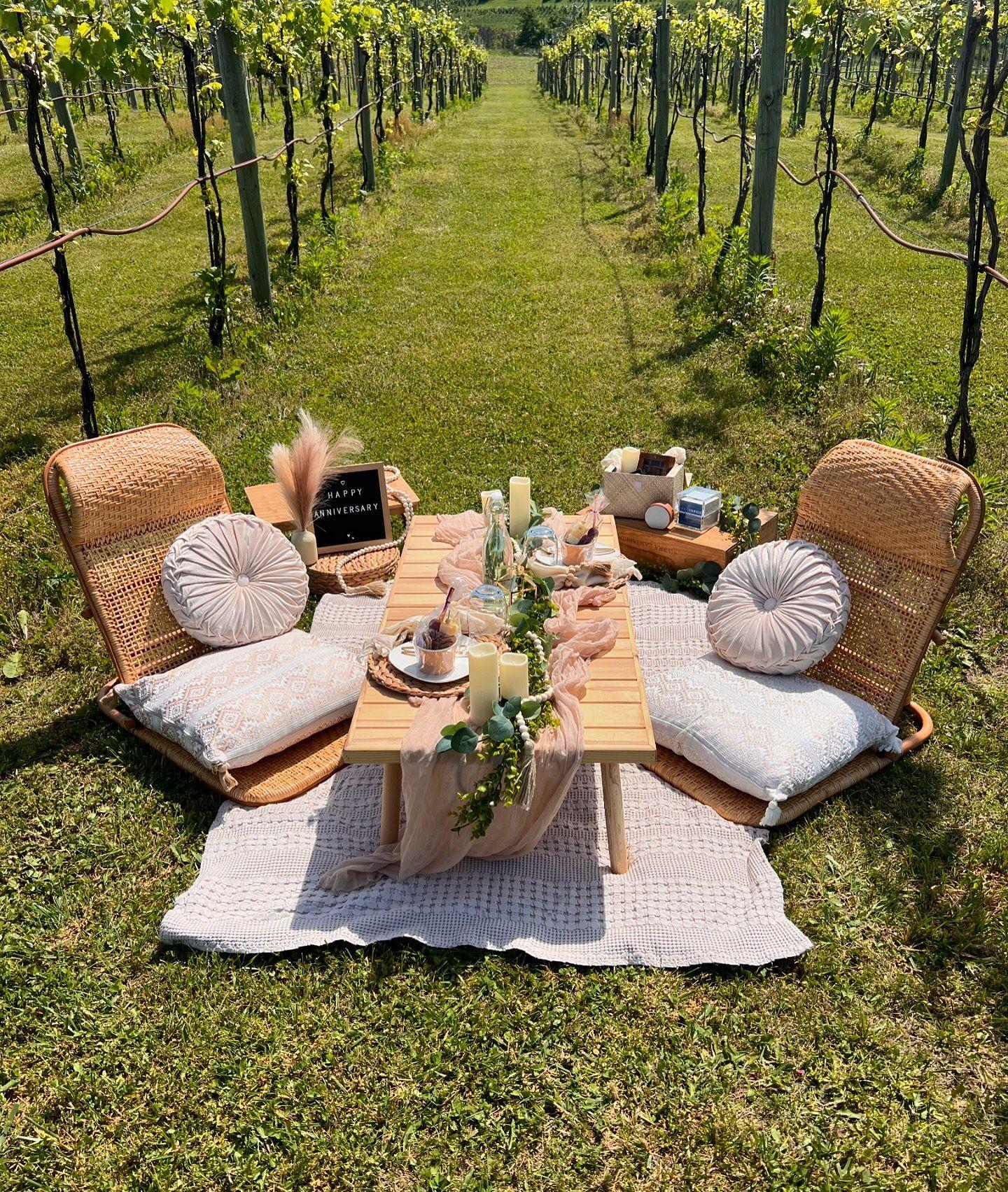 Picturesque Luxury Picnics, LLC portfolio 4