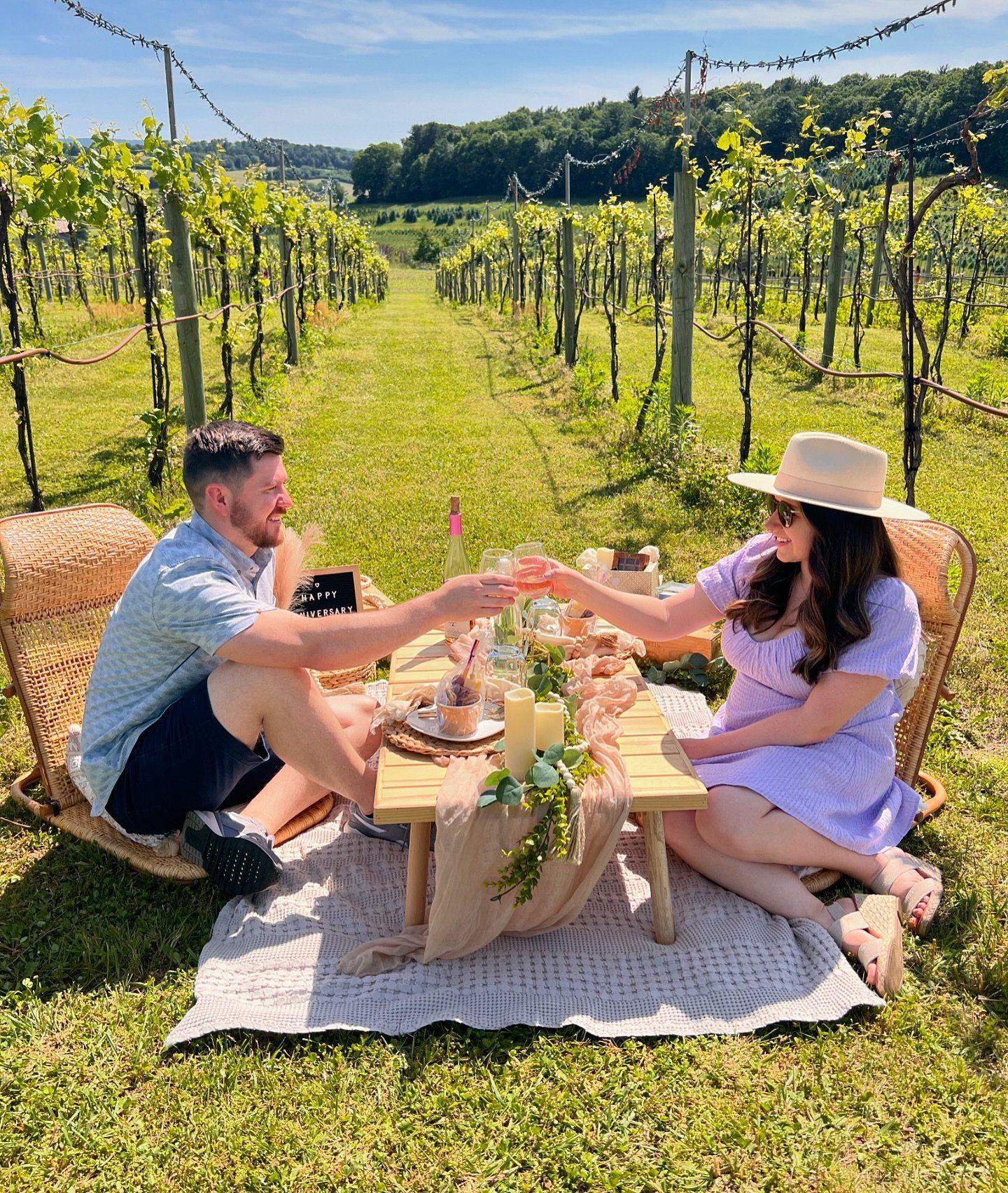 Picturesque Luxury Picnics, LLC portfolio 5