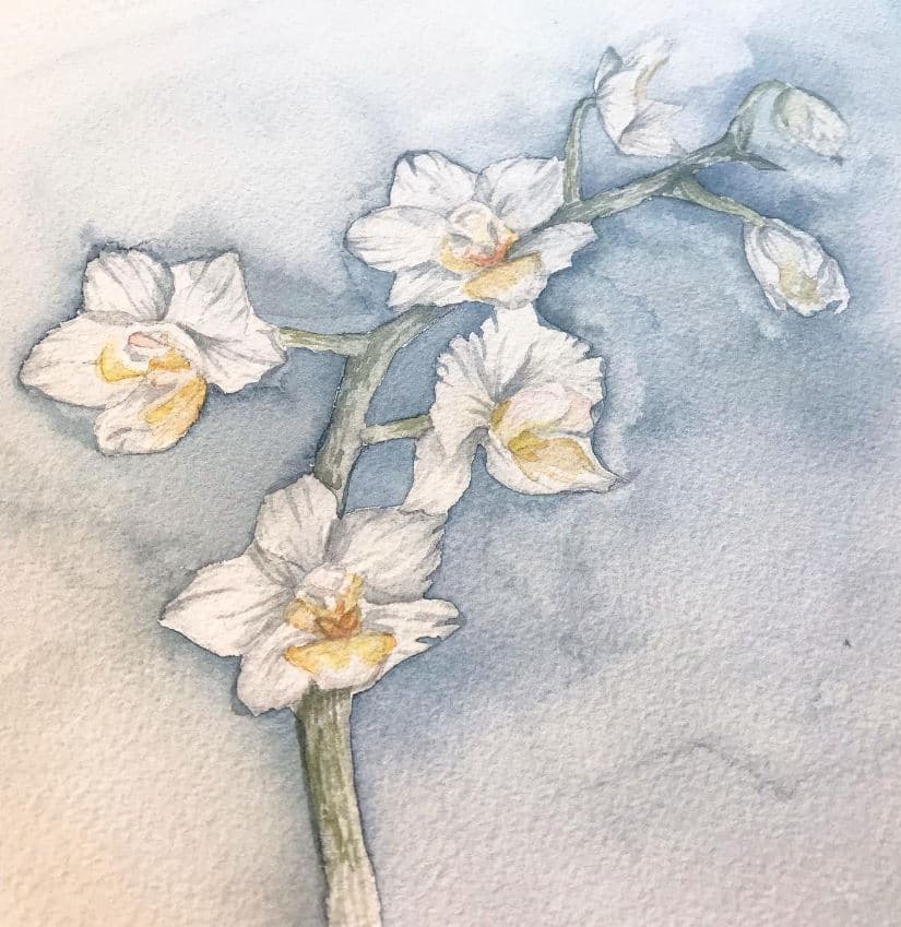 Paper & Peonies Design portfolio 3