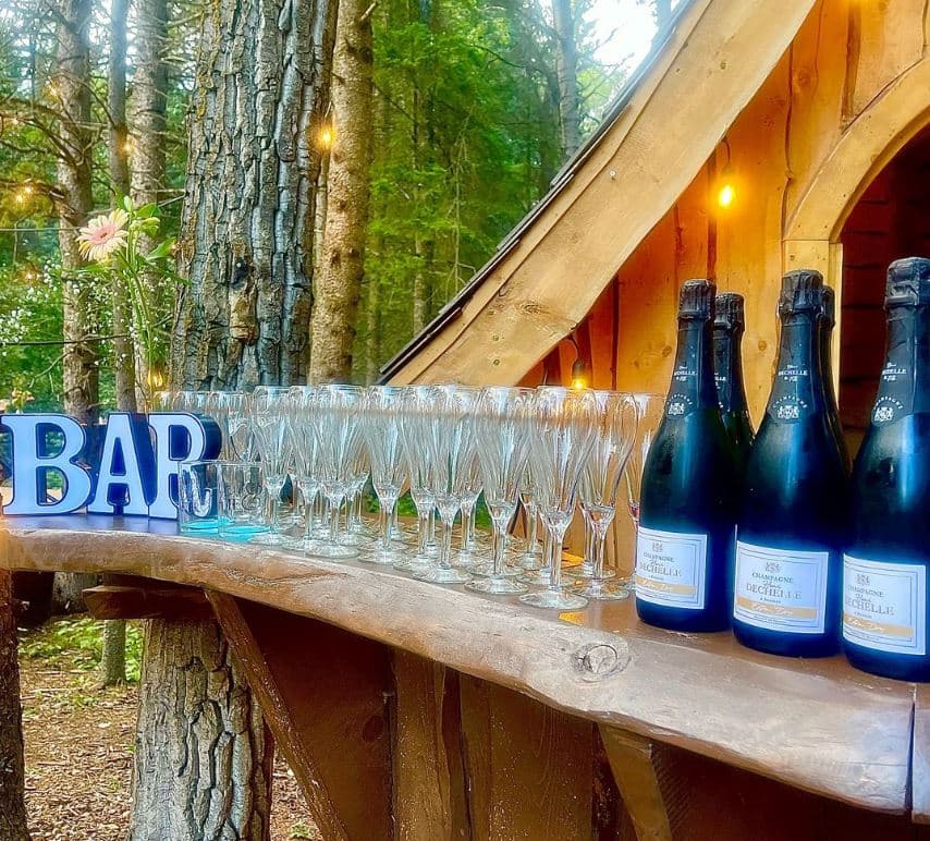 AAA Mobile Bartending portfolio 3