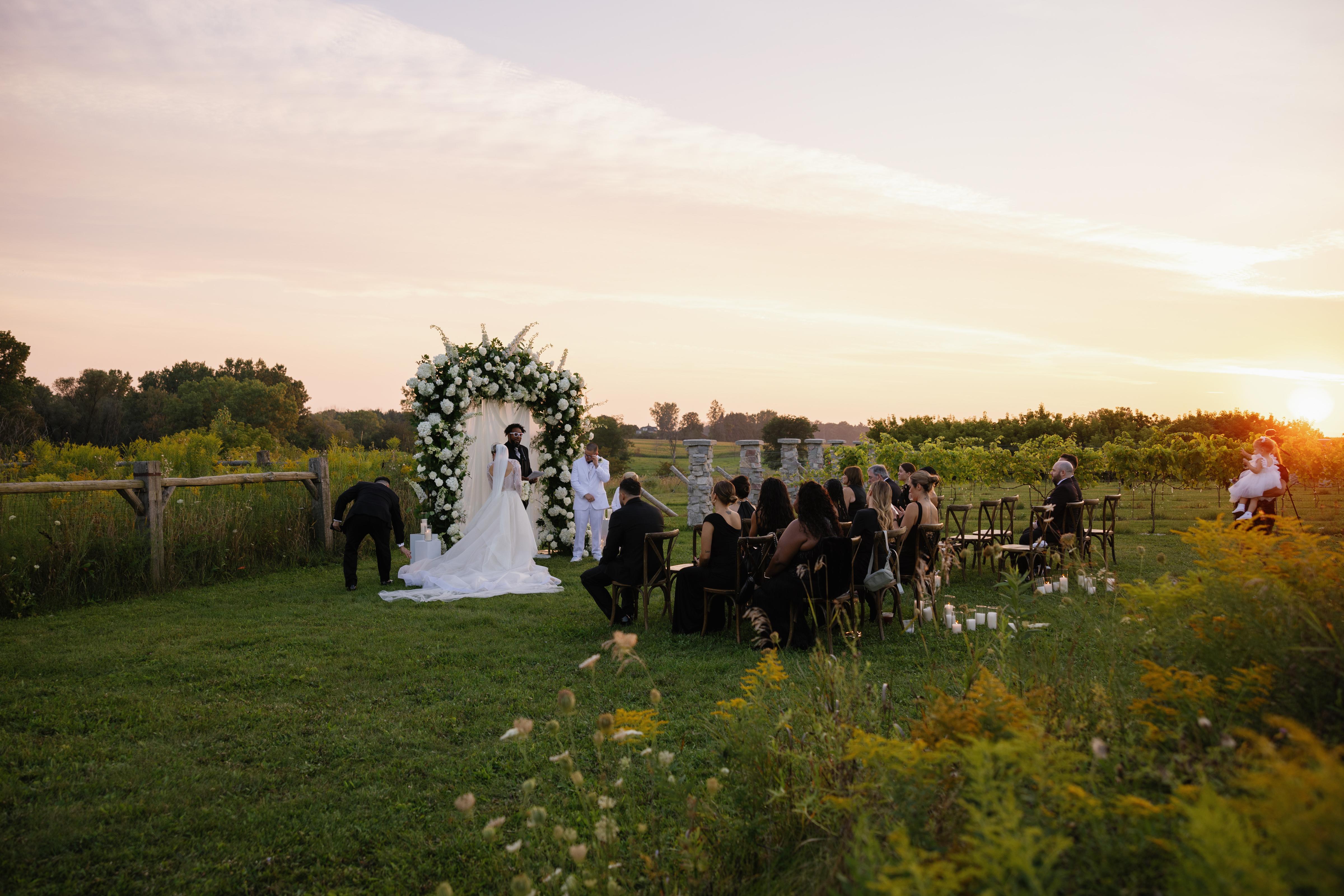 White Spruce Films portfolio 2