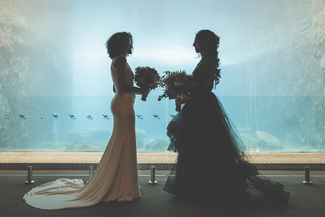 A Non-Traditional Spring Wedding at Taronga Zoo