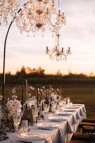Roberta Burcheri Events