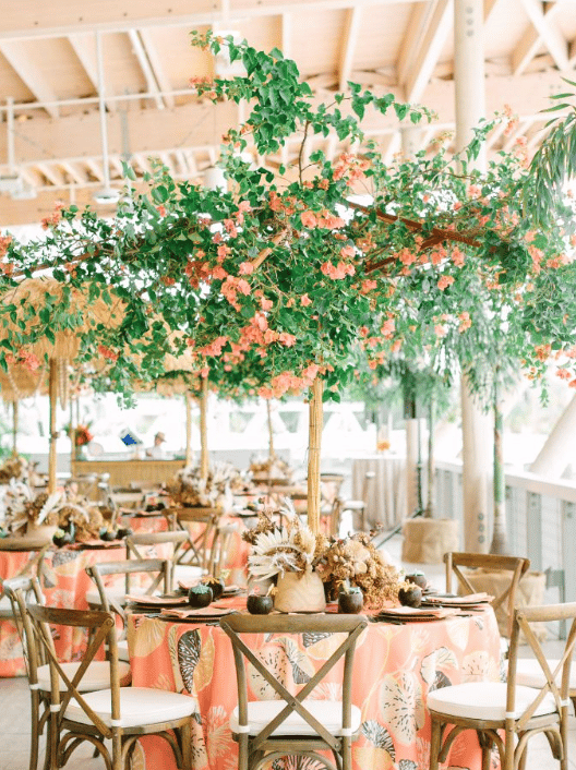 Anna Lucia Events