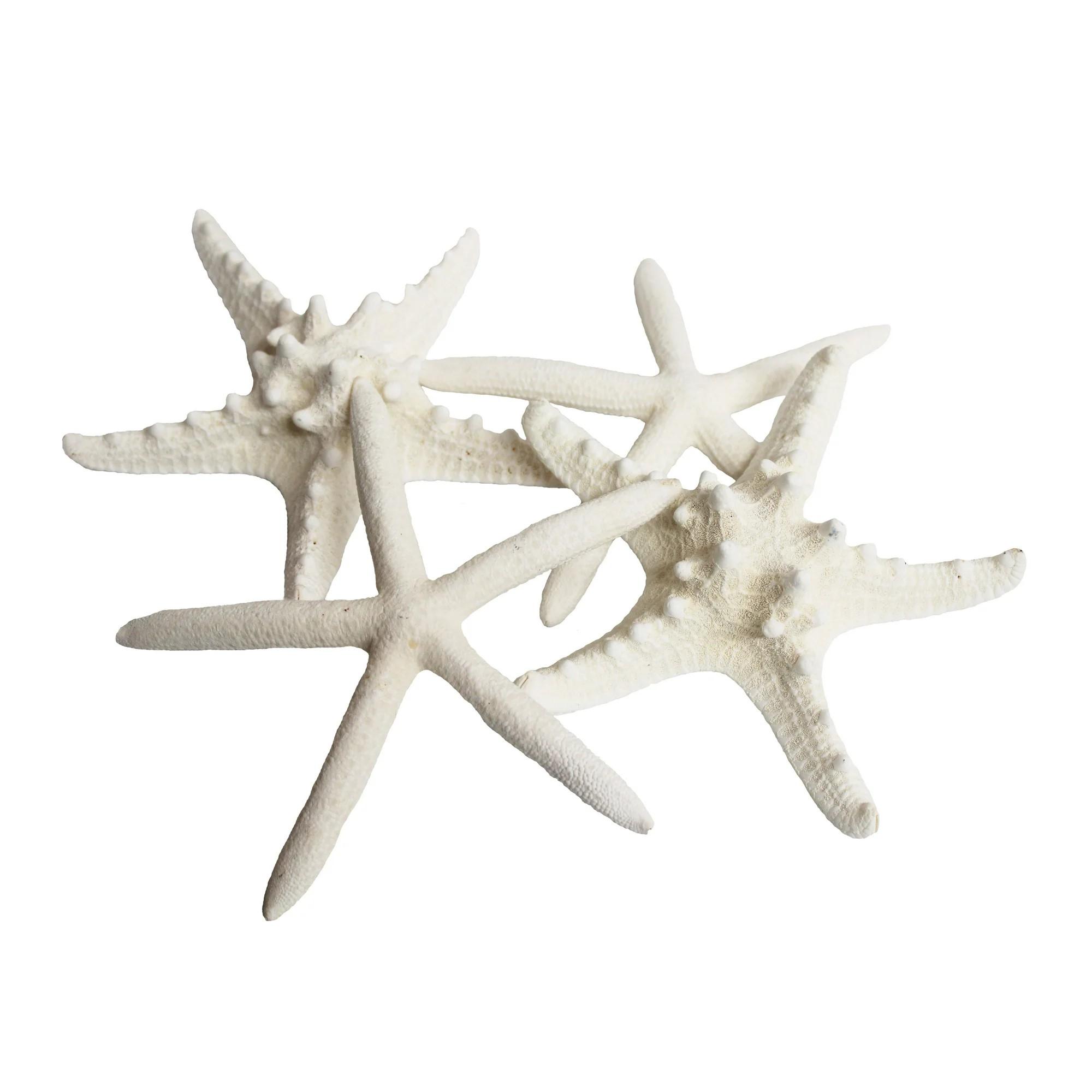 White Starfish Shell Beach Decor