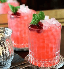 VIP Bartending portfolio 3