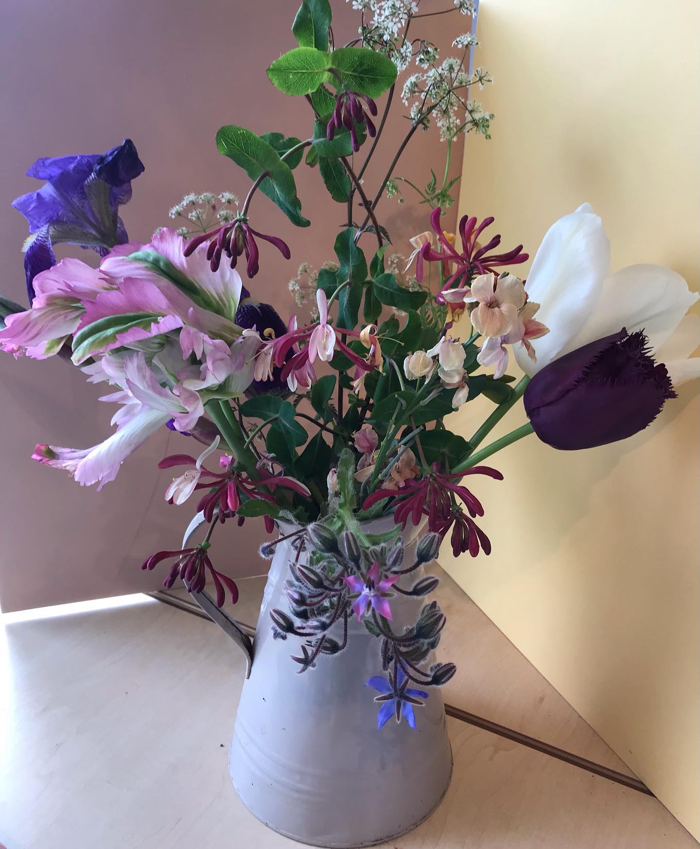 Micklems Farm Flowers portfolio 2
