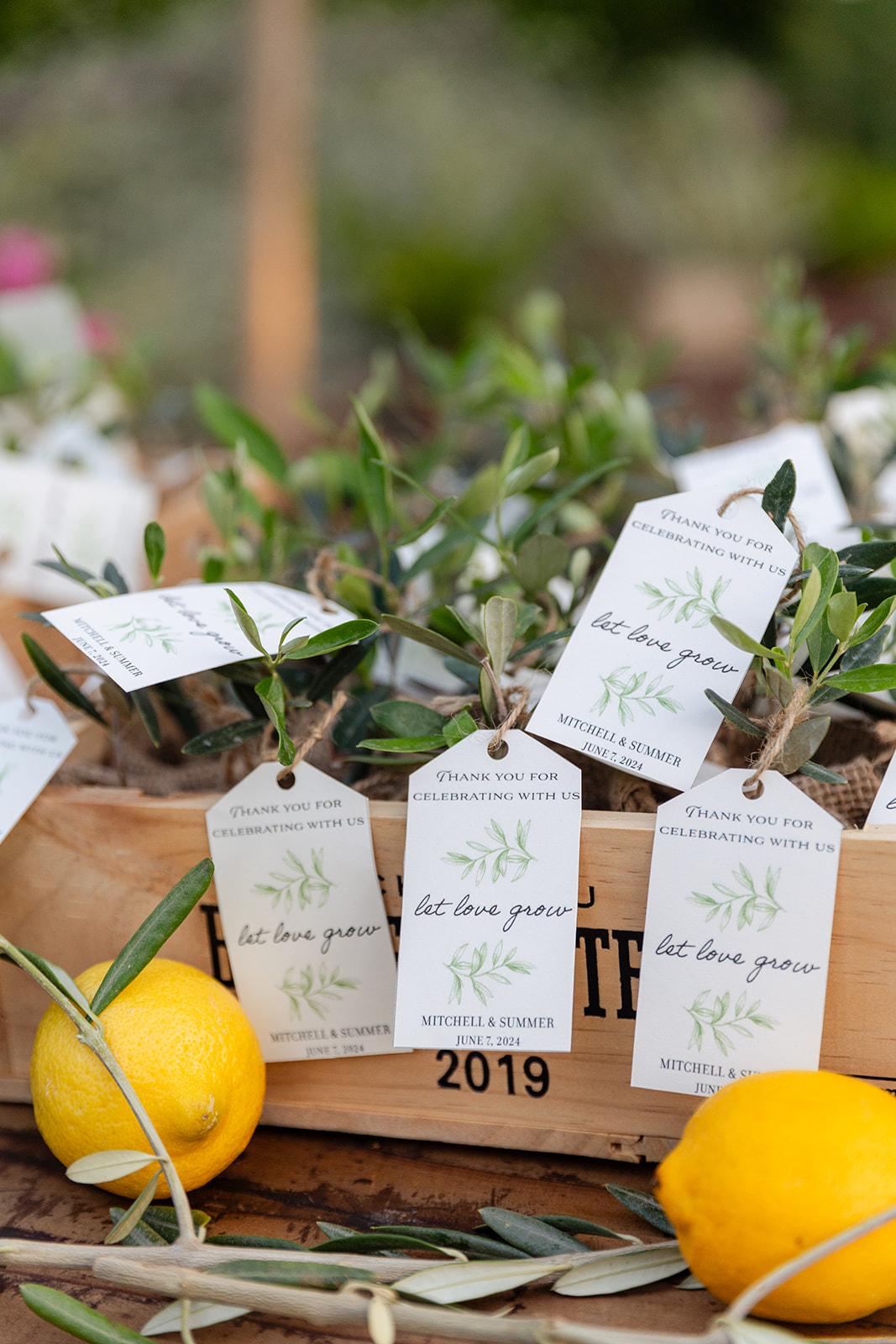 A Romantic Summer Wedding at the Walnut Grove photo 3