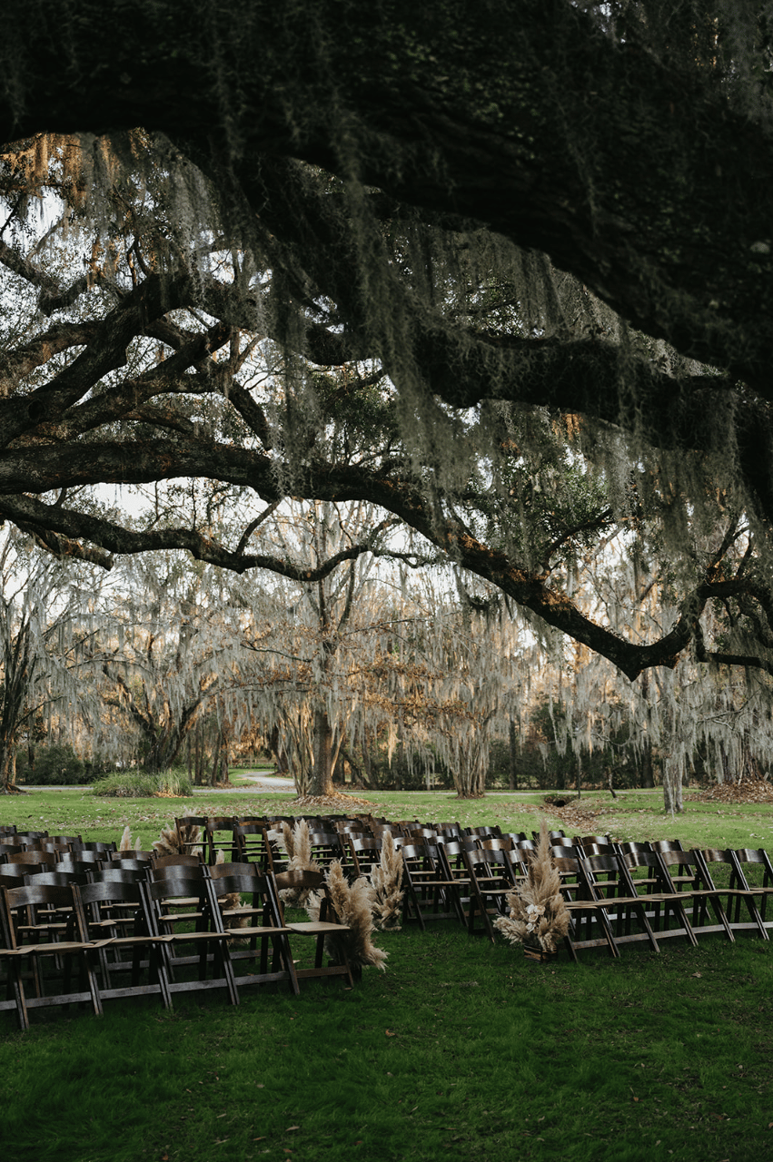 Magnolia Plantation and Gardens