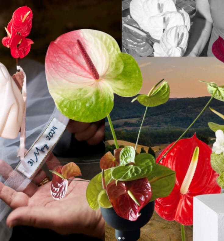 The Wedding Atelier portfolio 3
