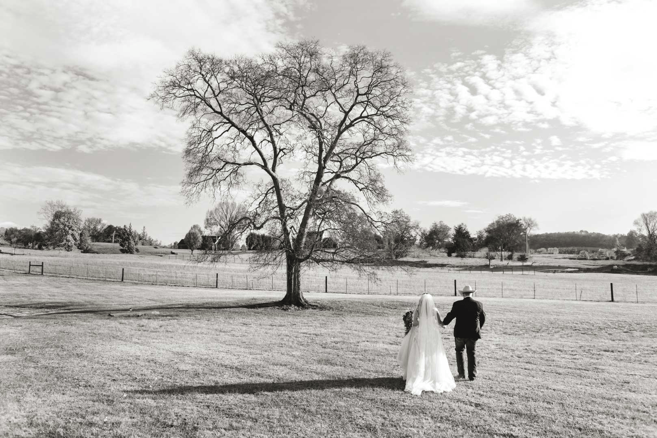 Megan Stark Photography portfolio 4