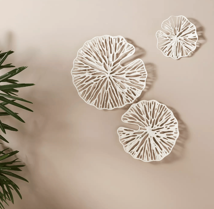Sand Dollar Wall Hangings