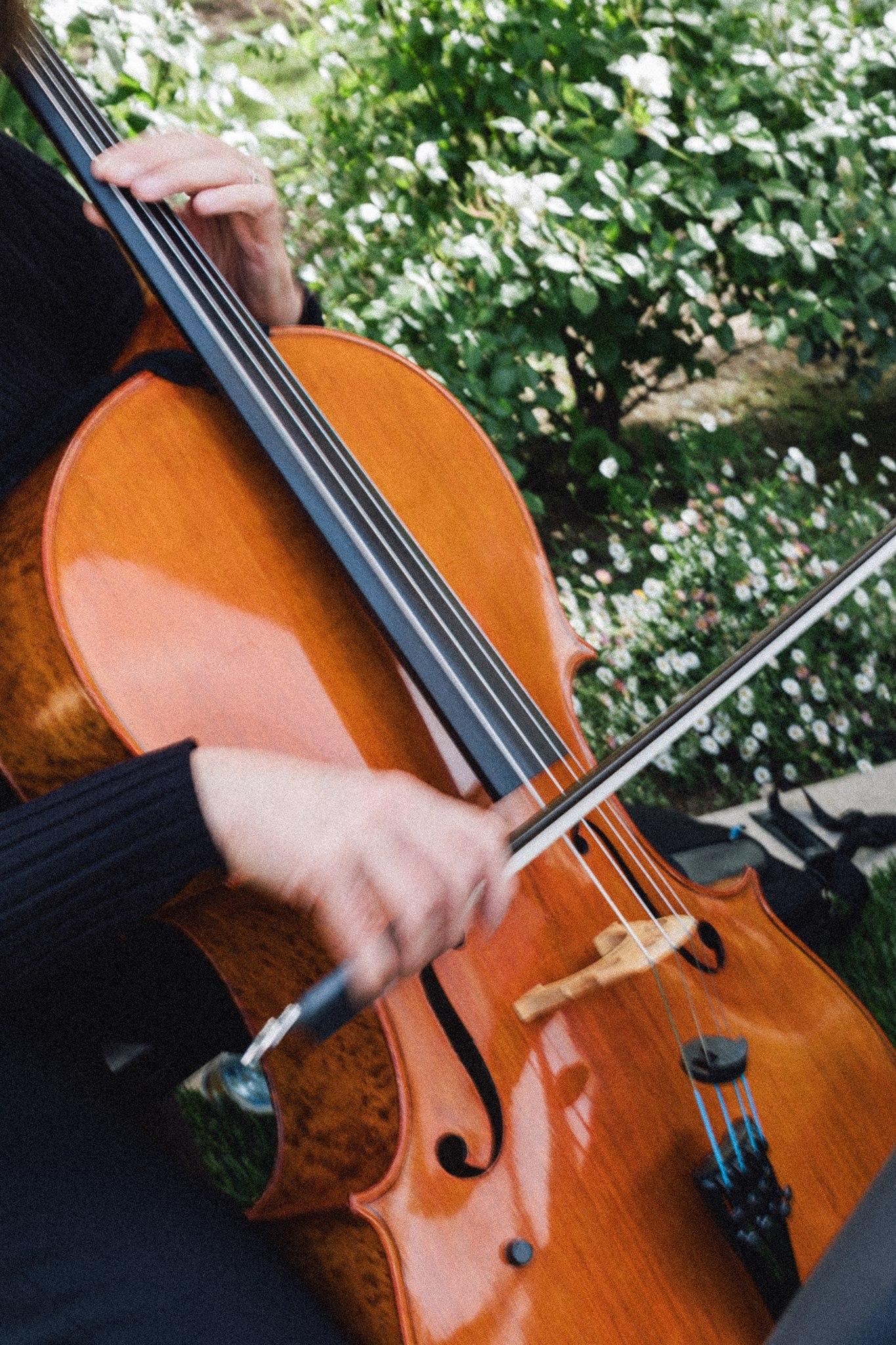 Ovation Strings