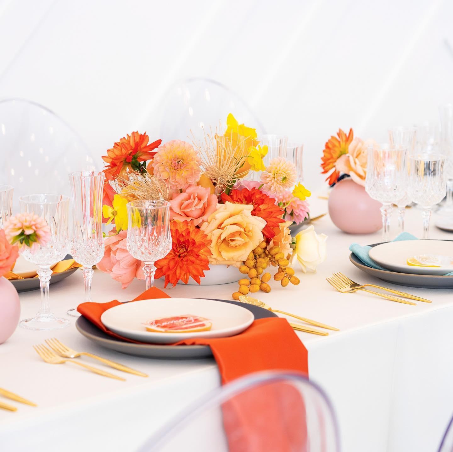 Vini's Party Rentals portfolio 2