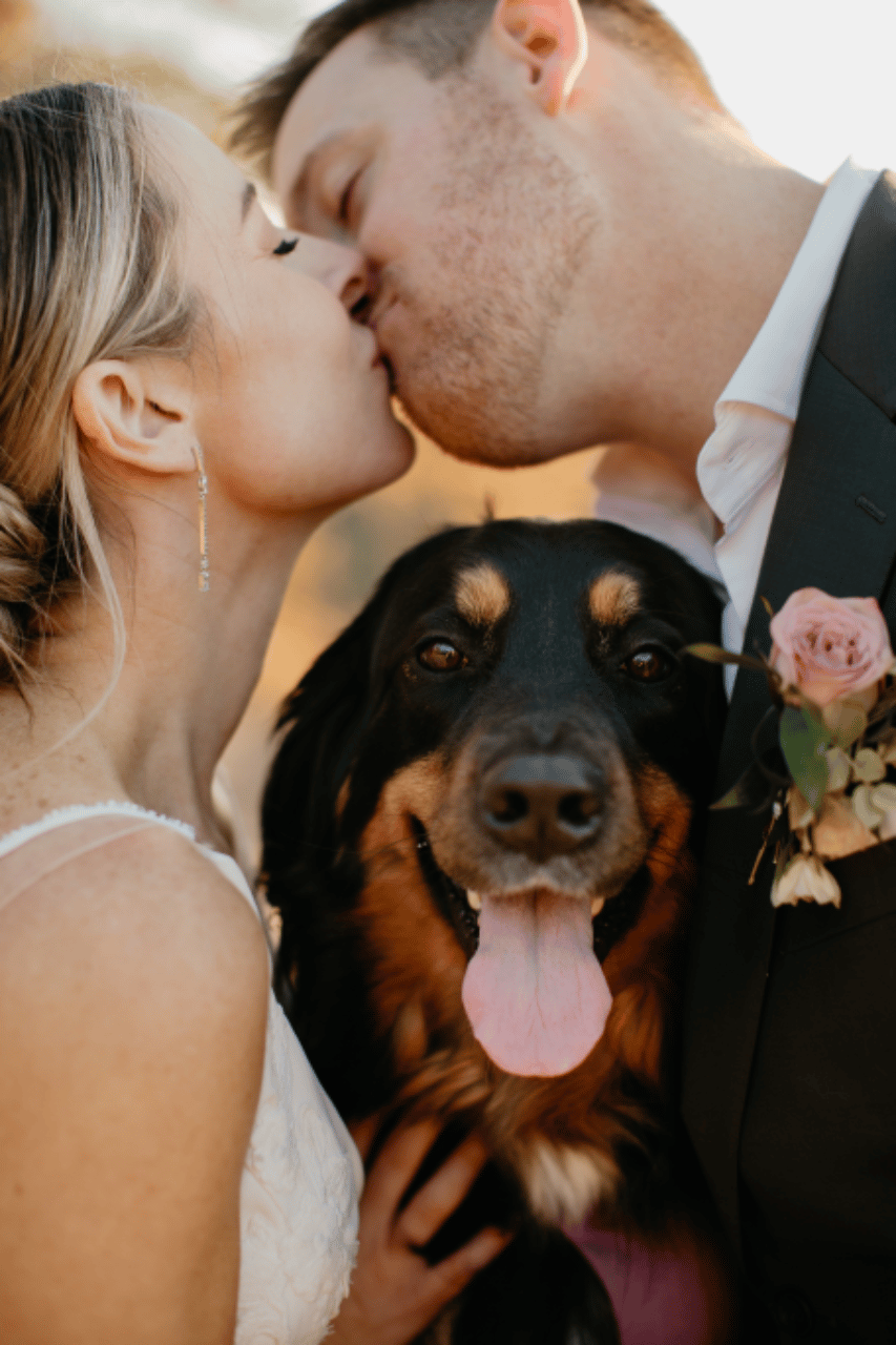 A Classic Fall Wedding at Petit Jean State Park