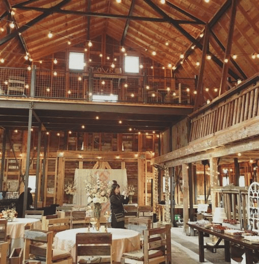 The Red Barn Farm portfolio 4