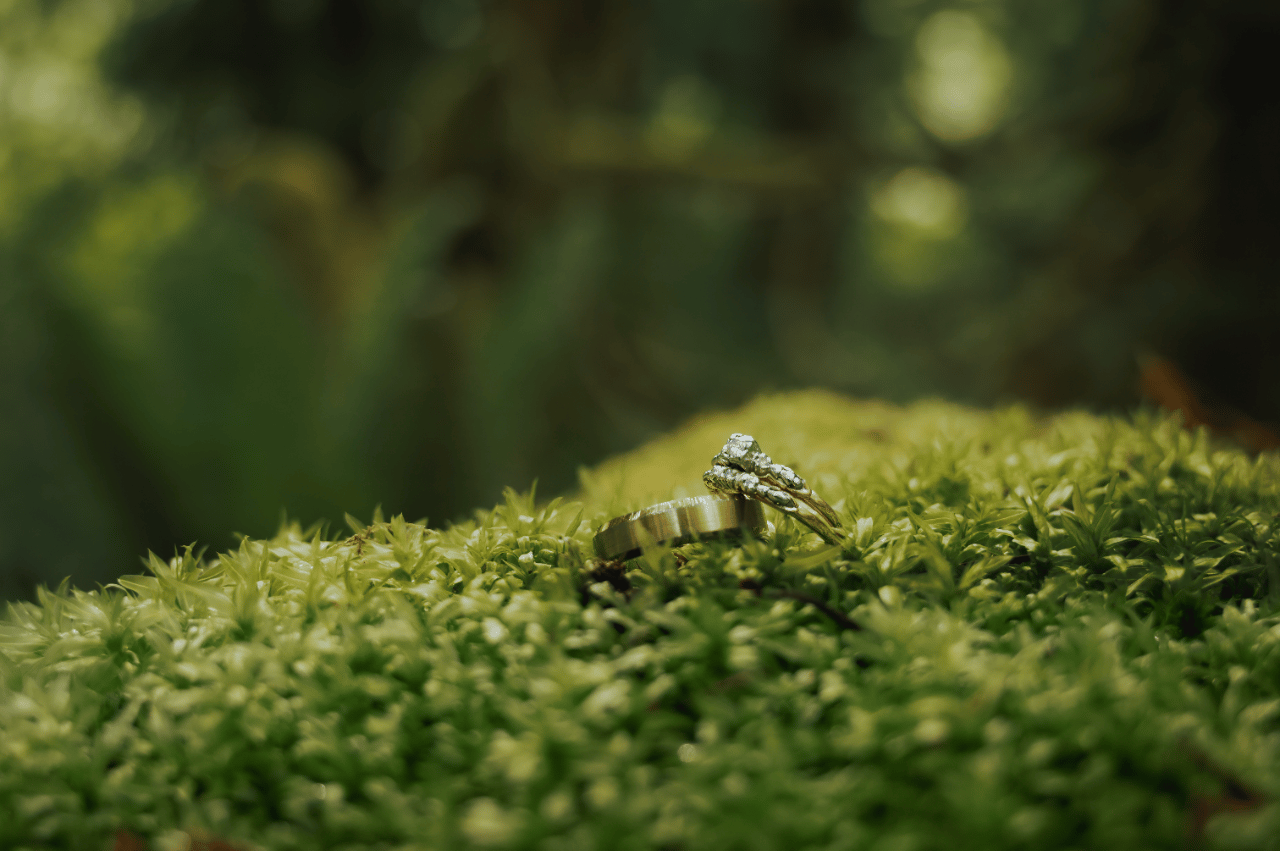 Bluminessence Photography portfolio 5