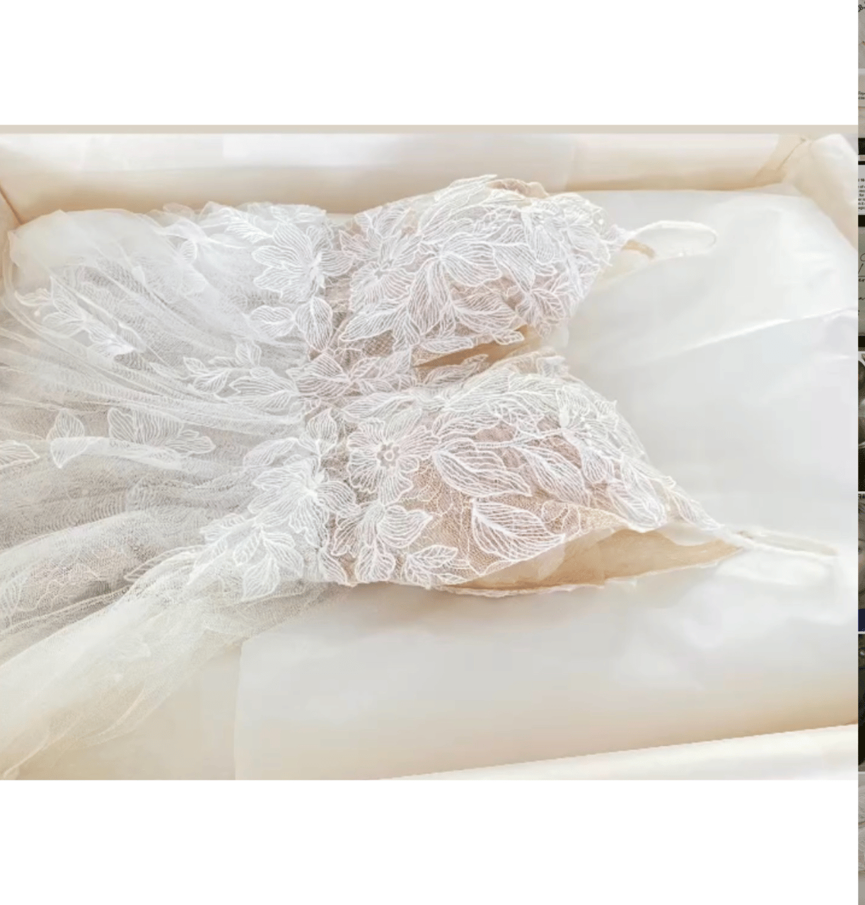 Texas Gown Preservation portfolio 1