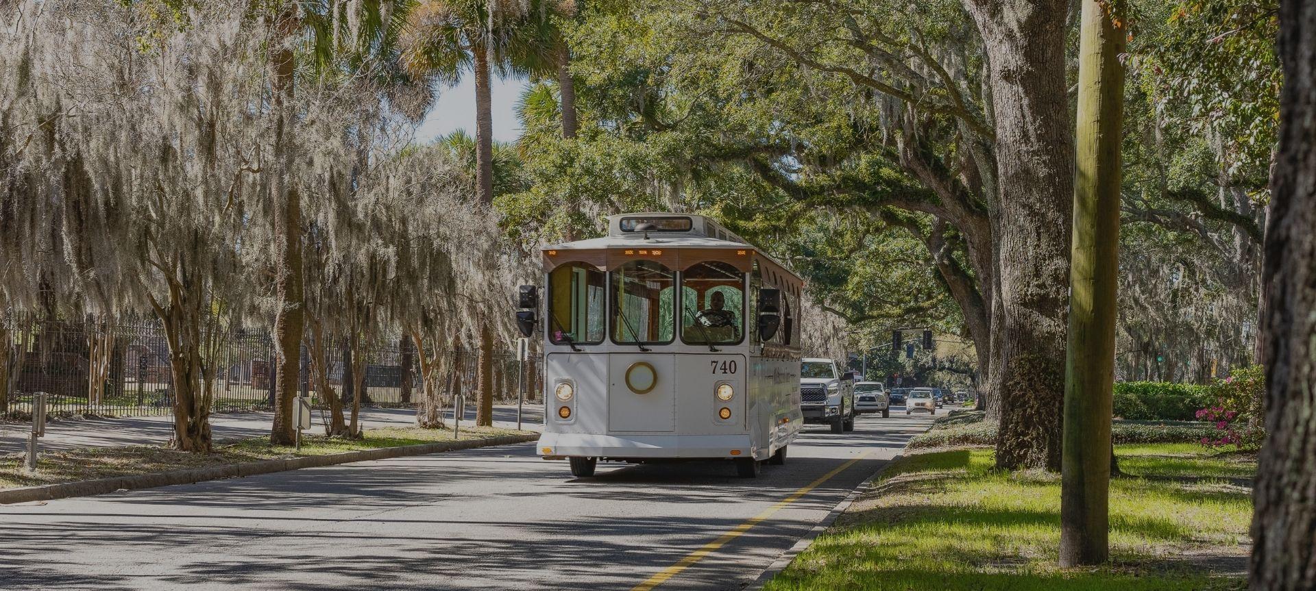 Old Savannah Tours