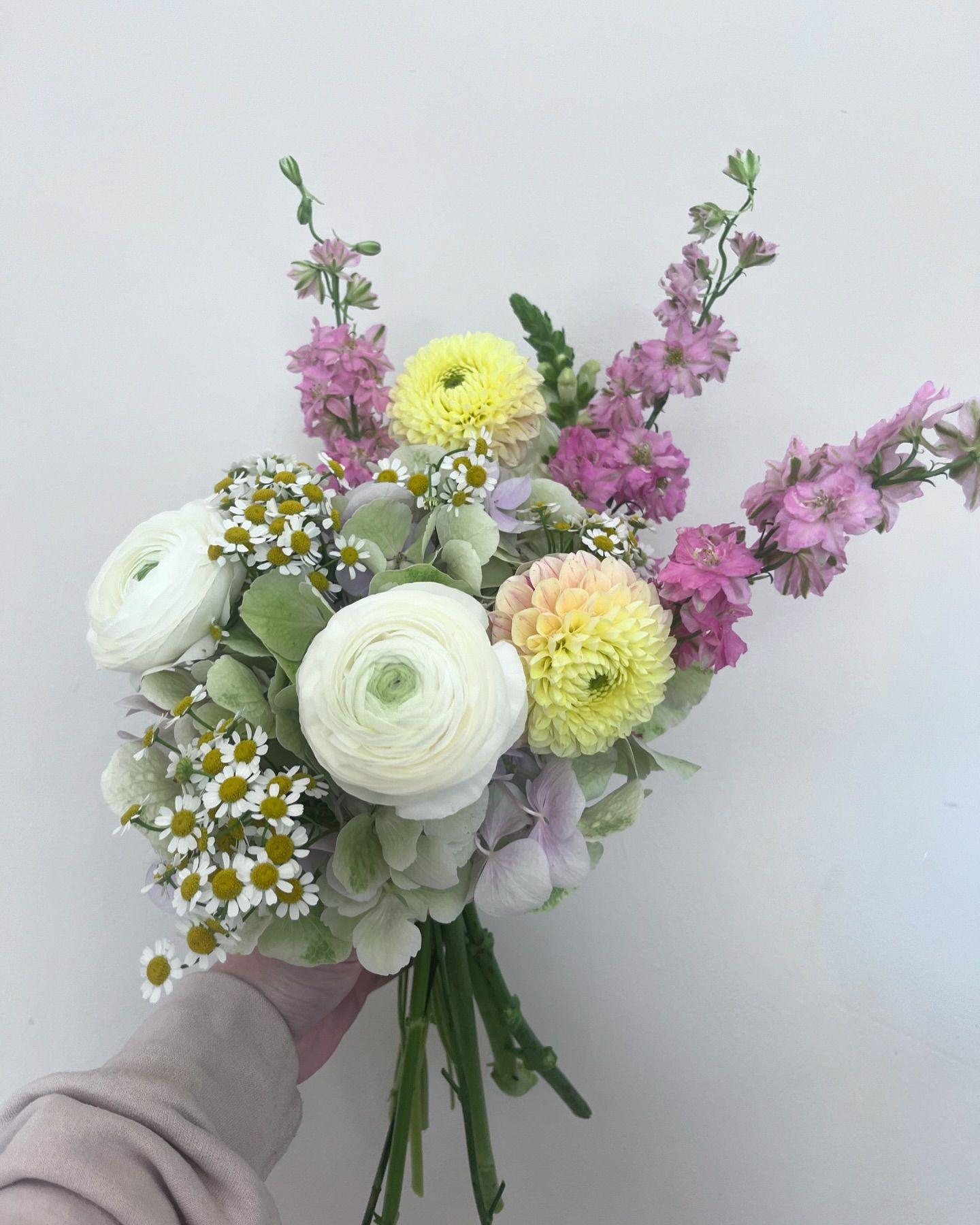 Gigha’s Flowers portfolio 4
