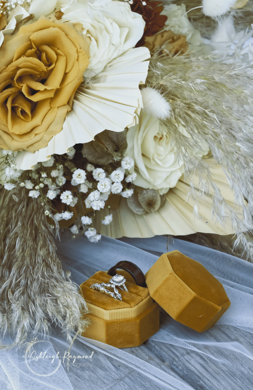 Ashleigh Raymond Photography portfolio 5
