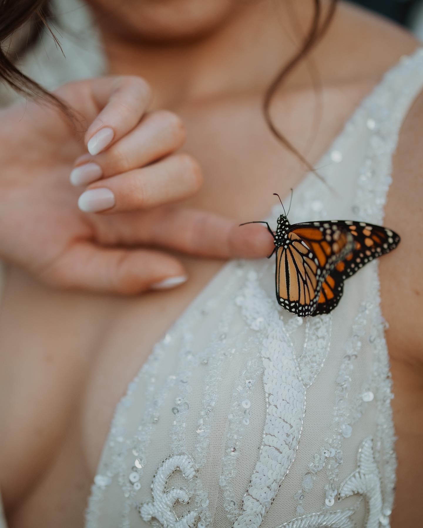 Stonehouse Photography portfolio 2