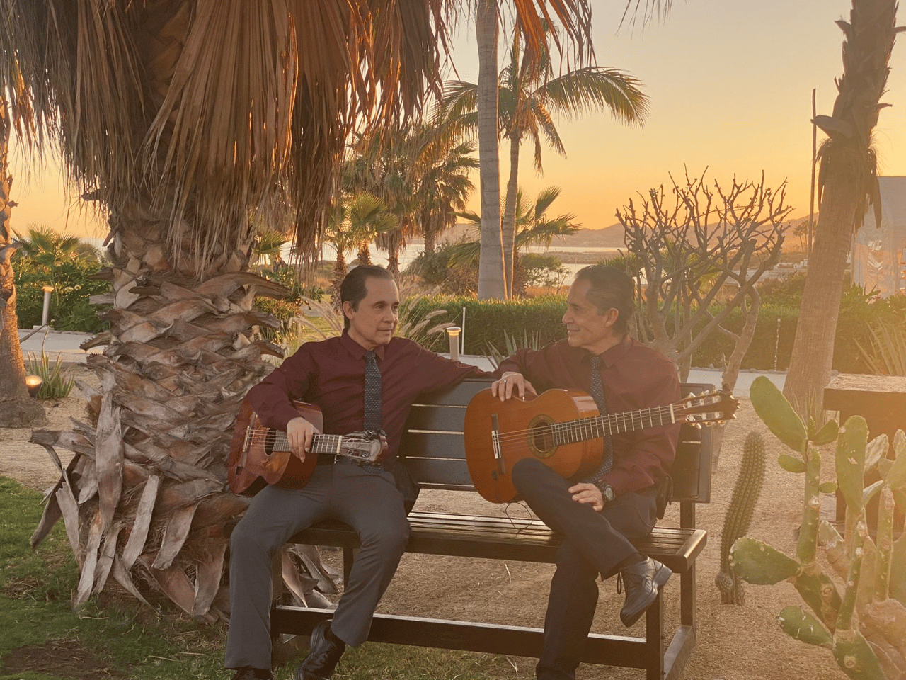 Elite Music Service Cabo portfolio 3