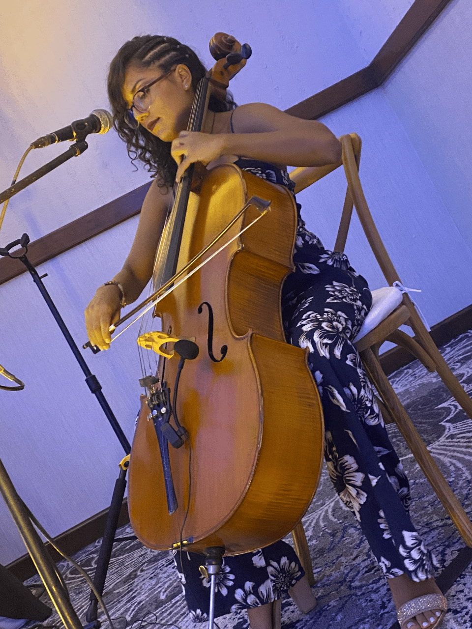 Elite Music Service Cabo portfolio 4