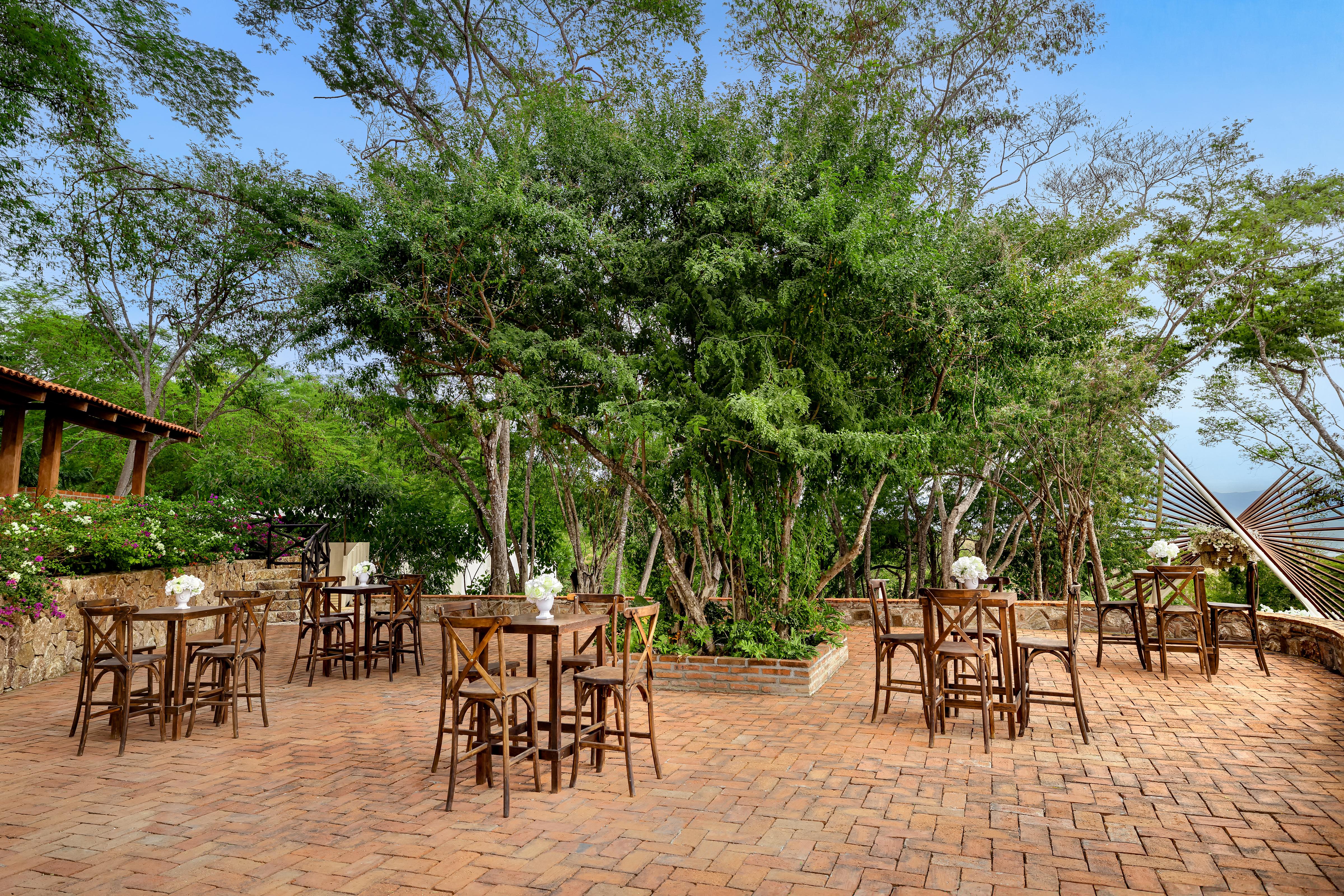 Dreams Bahia Mita Surf & Spa Resort portfolio 2