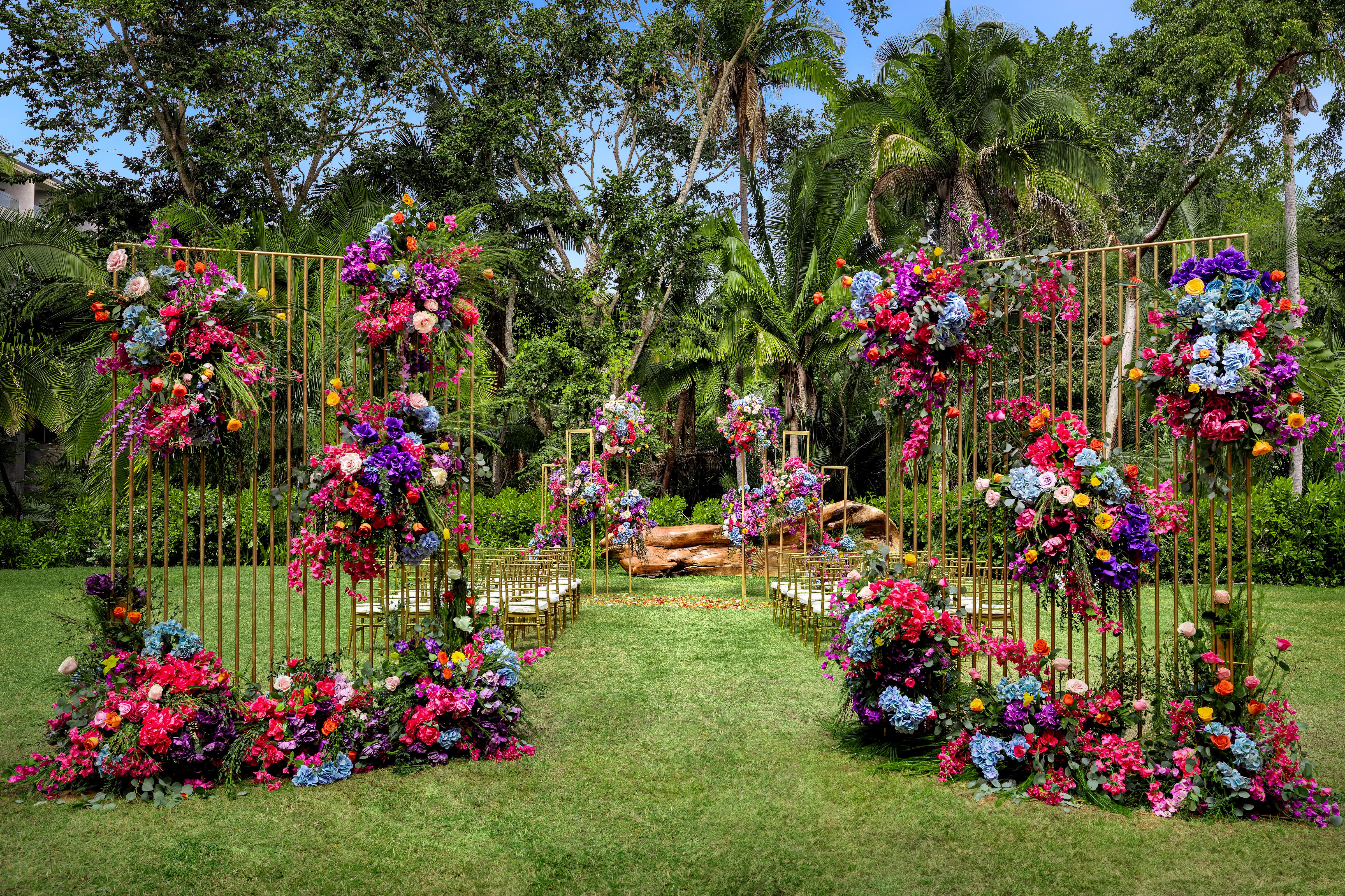 Dreams Bahia Mita Surf & Spa Resort portfolio 5