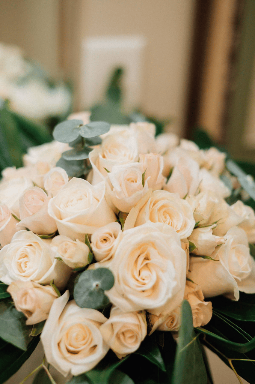 Snake River Weddings & Events portfolio 3