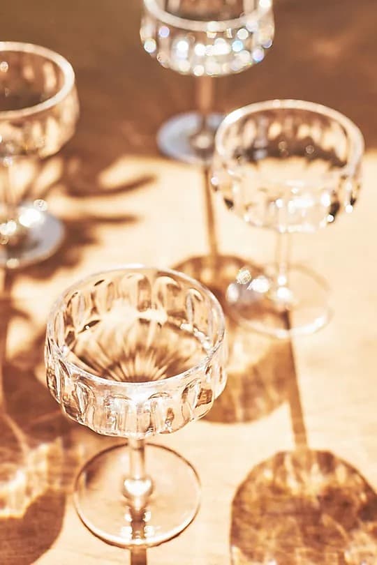 Lucia Acrylic Coupe Glasses