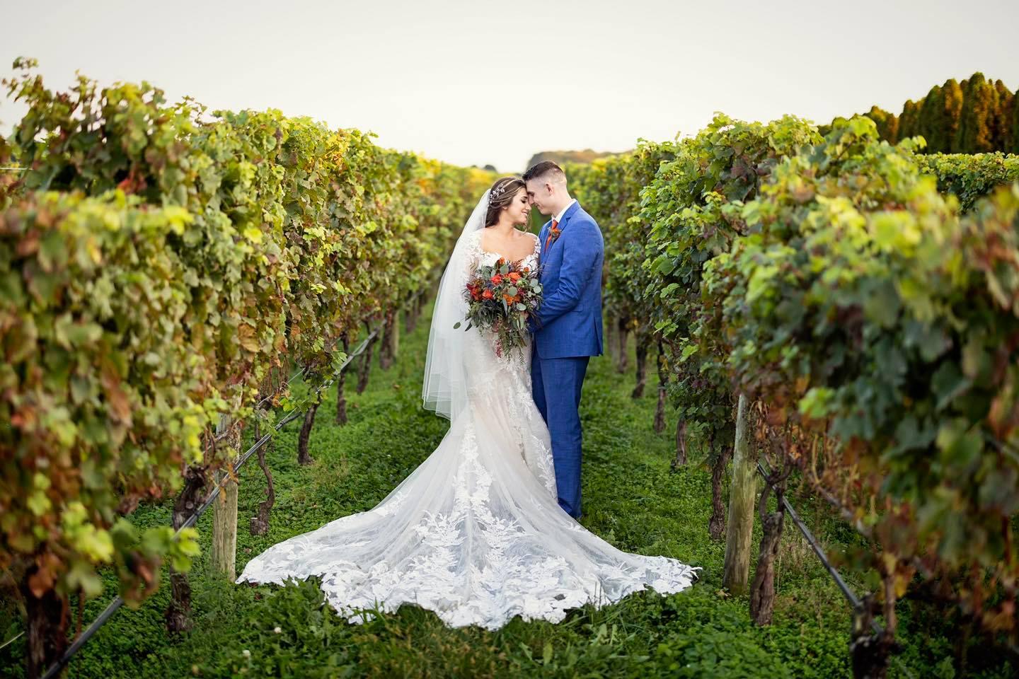 RGNY Vineyard