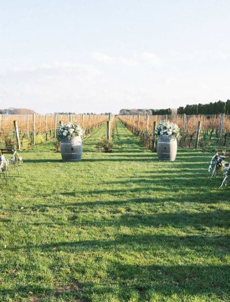 RGNY Vineyard portfolio 2