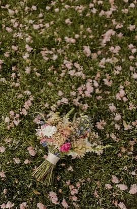 Laura Taylor Weddings portfolio 1