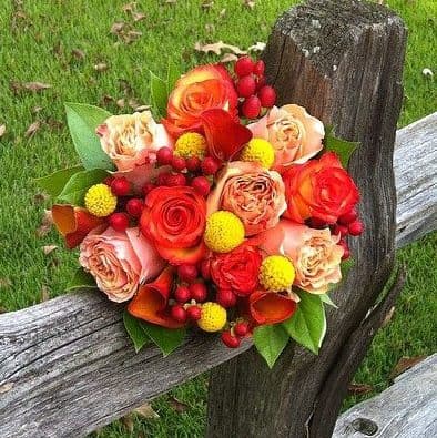 Lynn Doyle Flowers & Events