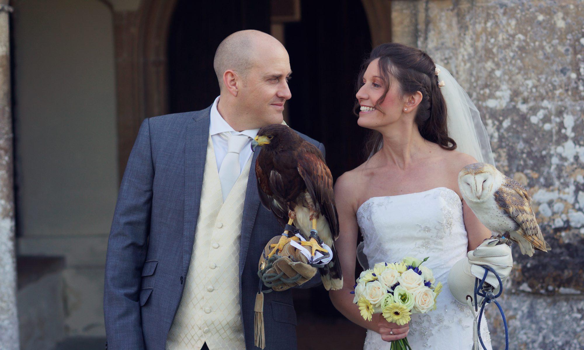Apollo Falconry