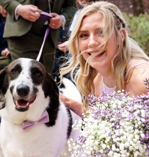 All Paws Weddings portfolio 2