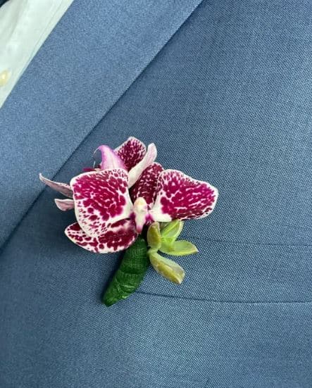 Fabled Blossom portfolio 3