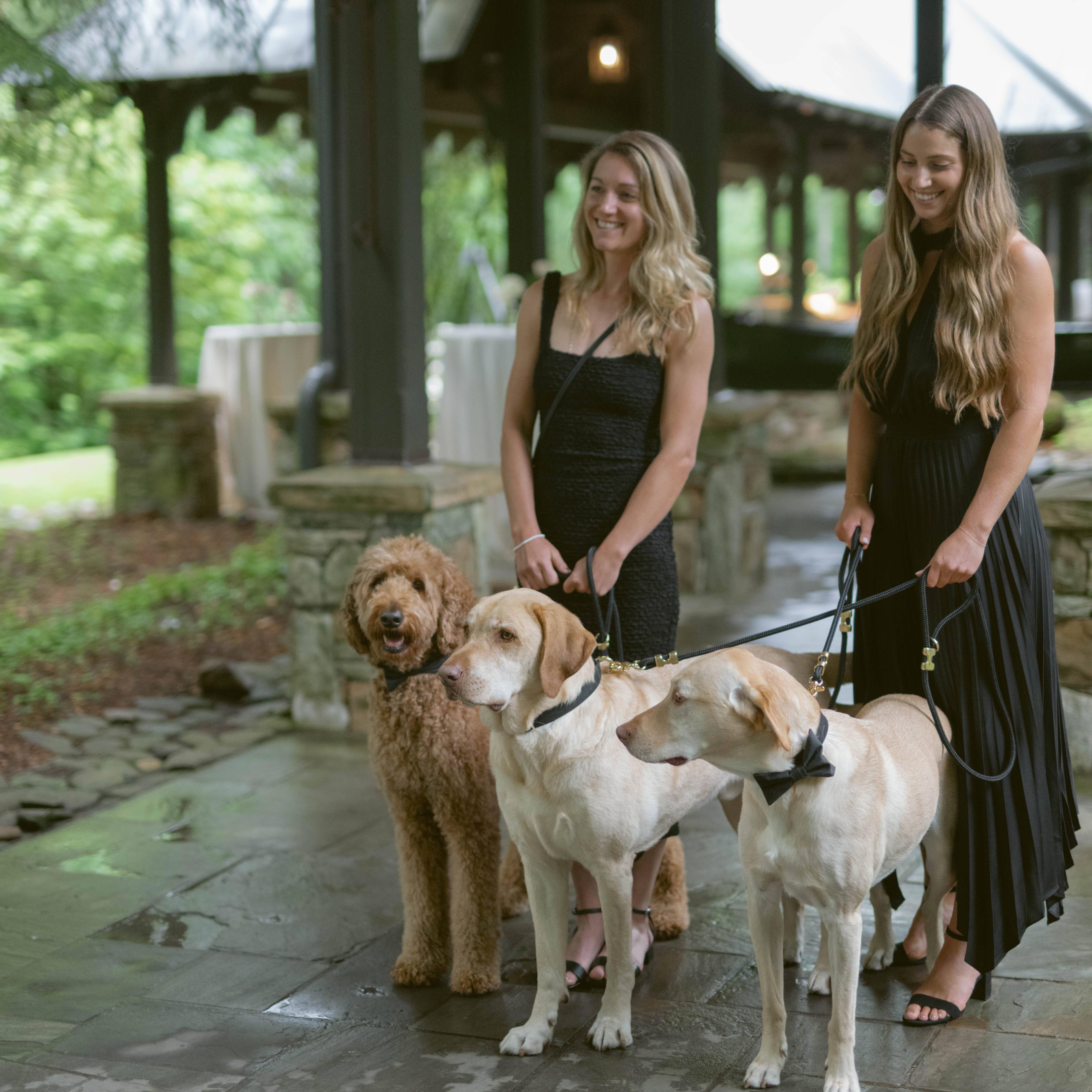 Plus the Pups