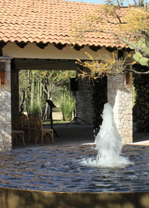 Rancho Sabinas portfolio 1