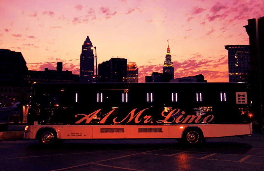 A-1 Mr. Limo portfolio 1