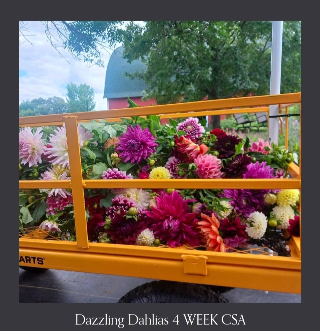 Florwegian Flower Farm portfolio 2