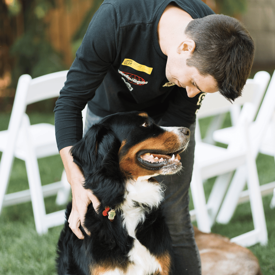 Monterey Dog portfolio 2