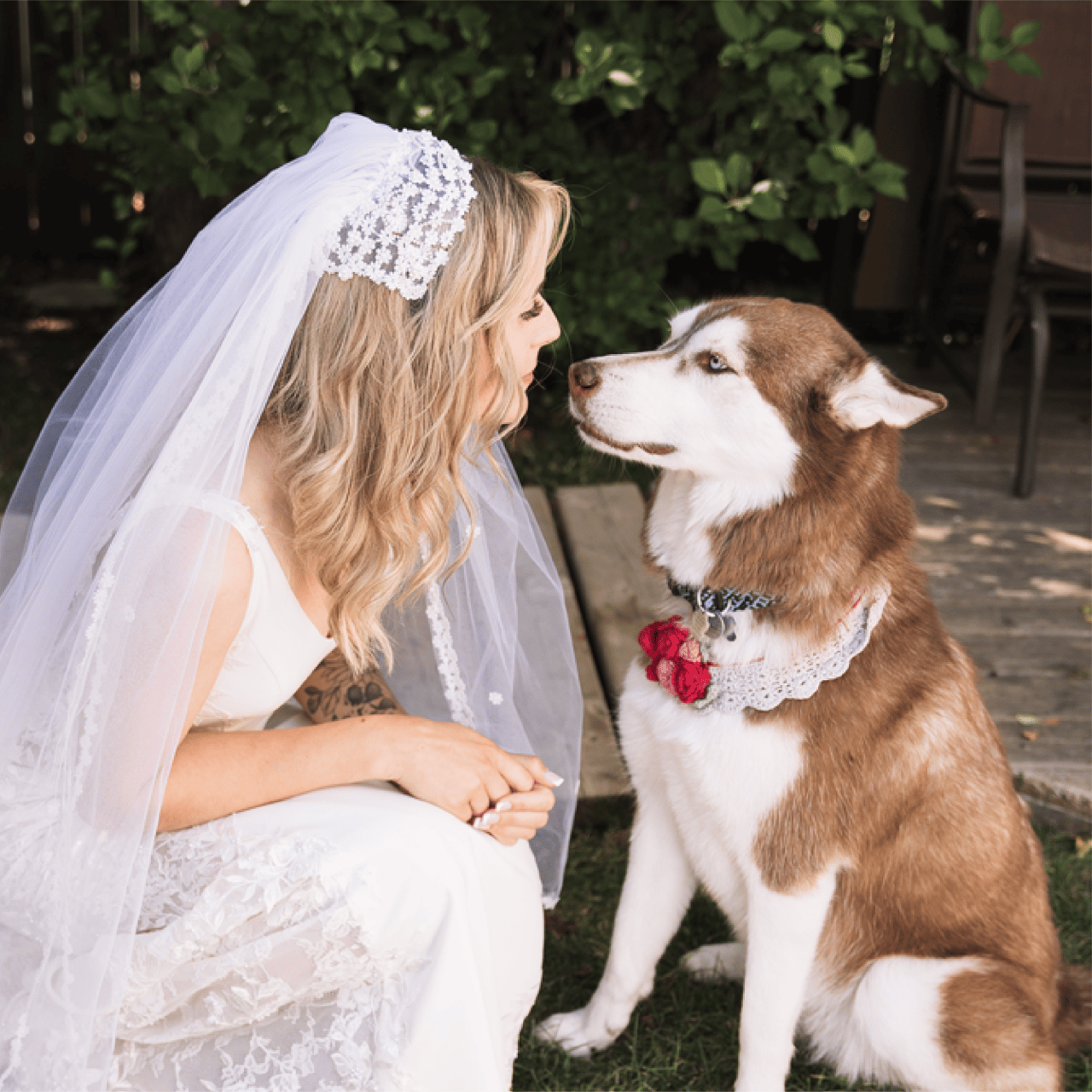 Monterey Dog portfolio 4