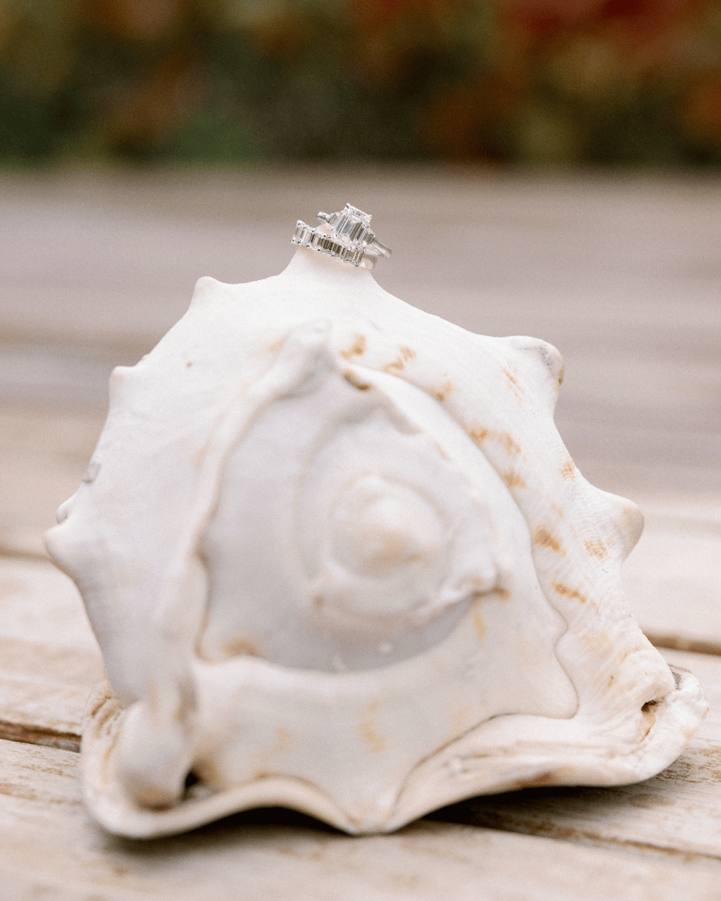 A Classic Fall Wedding at Pink Sands Resort photo 2